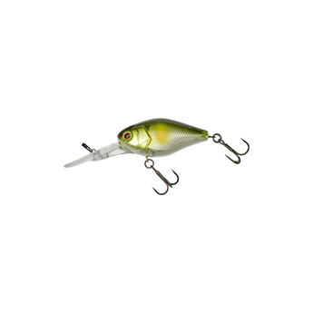CHUBBY 41 DR