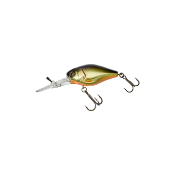 CHUBBY 41 DR