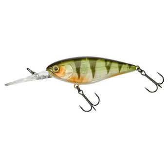 Super DD Squirrel Flat 79