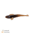 Finesse Goby 7cm