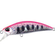 DUO Spearhead Ryuki 50SP